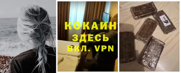 прущий лед Алзамай
