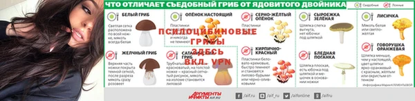 прущий лед Алзамай