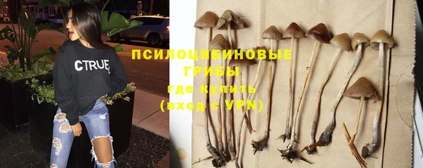 MDMA Алексин